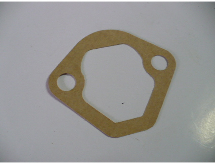 gasket for gas pump - thiner